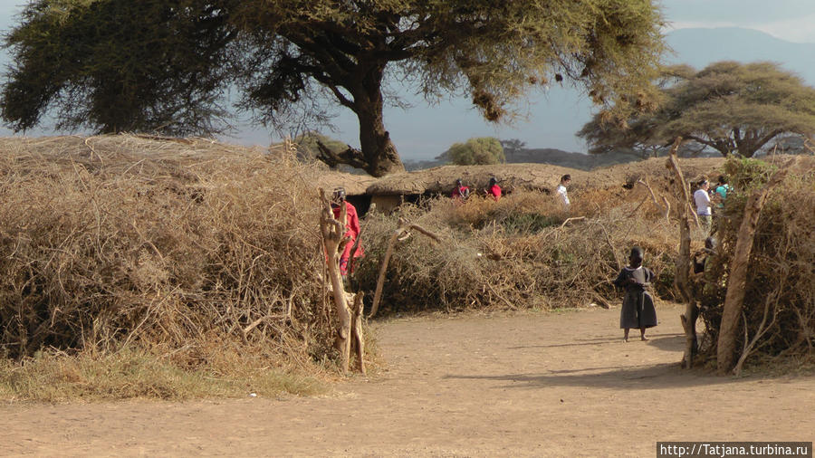 В деревушке Масаев Масаи-Мара Национальный Парк, Кения