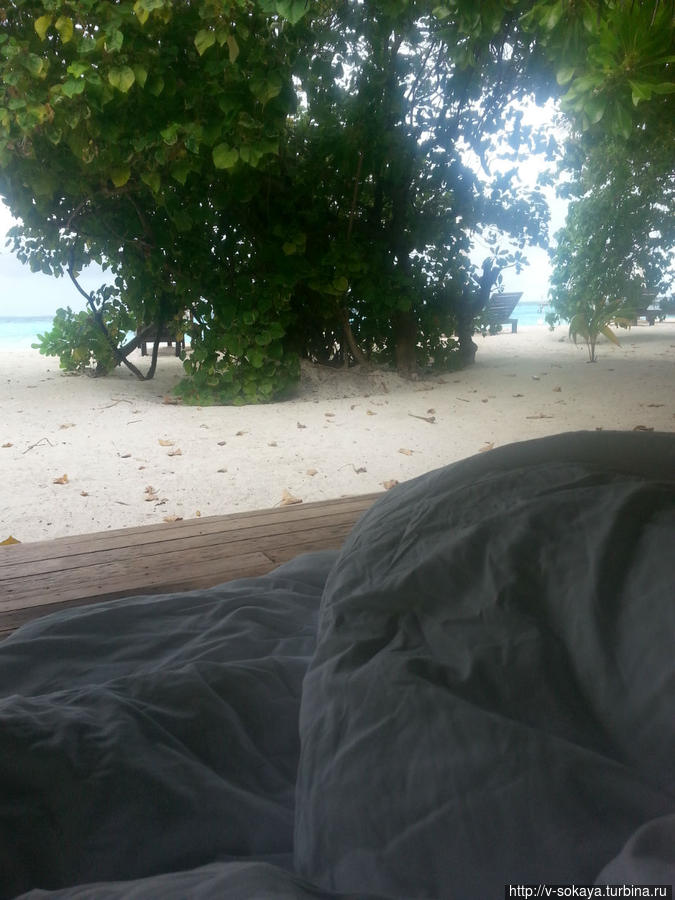 просыпаешься, а перед глазами океан....вот оно — счастье! :-) Мальдивские острова