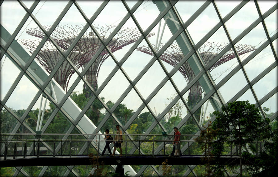 Цветочный купол и Облачный лес Сингапур (город-государство)