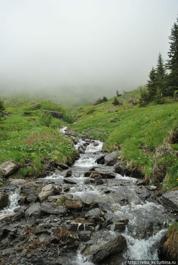 Ёжик в тумане Мюррен, Швейцария