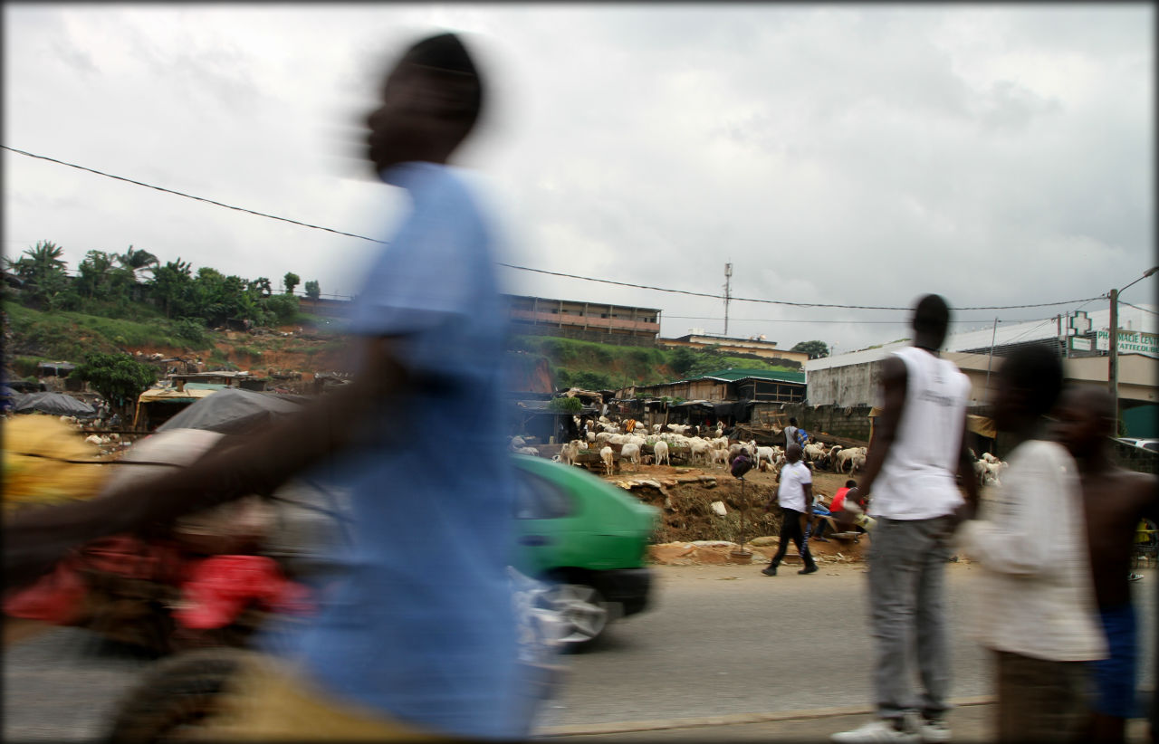 «Срезанные листья» или третий франкоязычный город в мире Абиджан, Кот-д'Ивуар