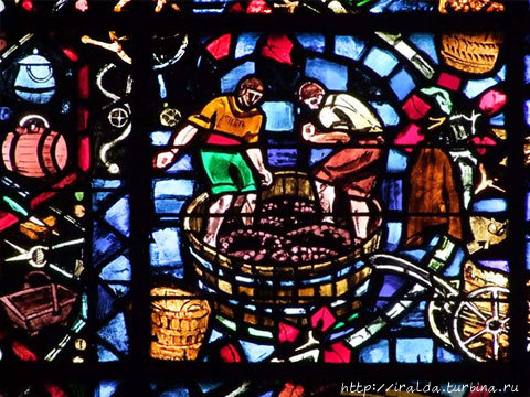 Давильщики винограда (фото из Интернета) Реймс, Франция