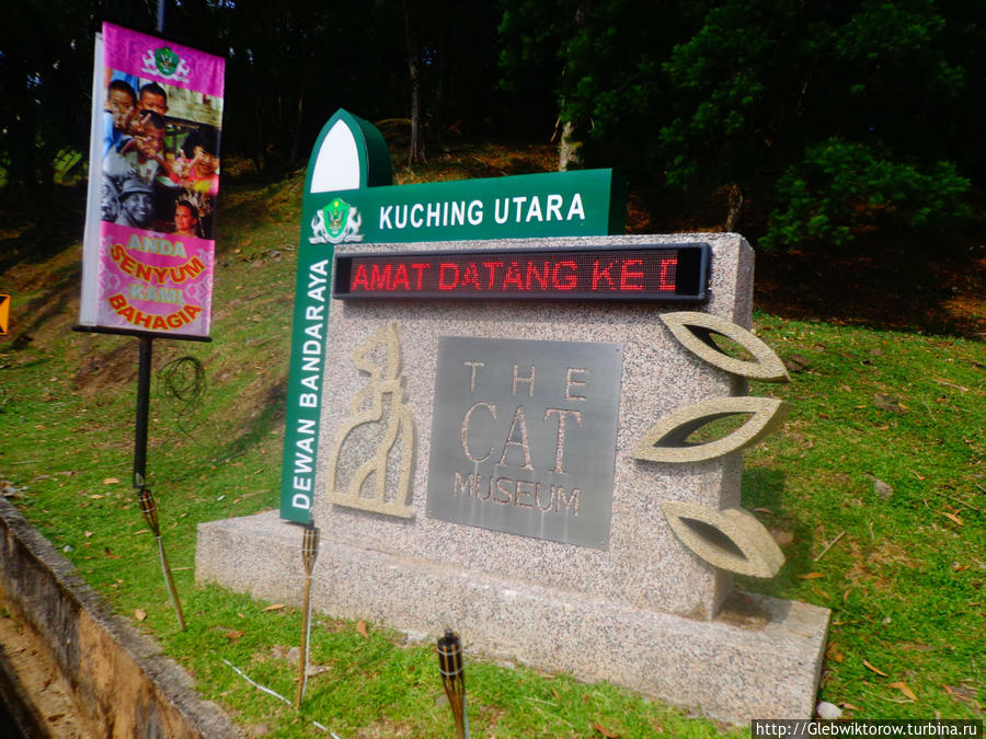 Музей Кота / Cat Museum