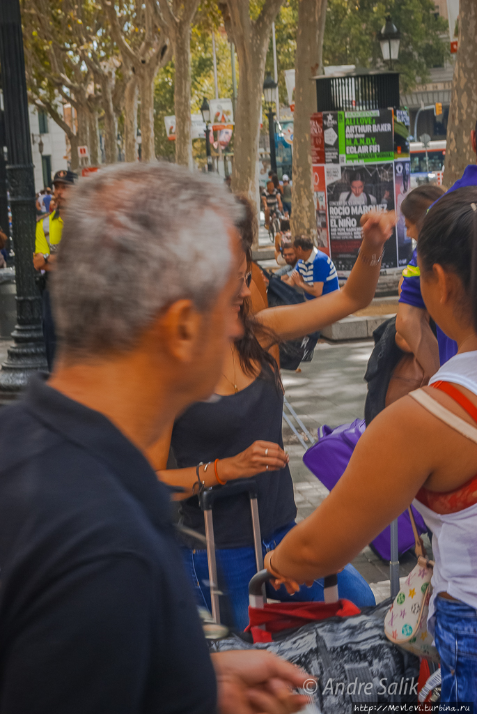 Август в Барселоне Барселона, Испания