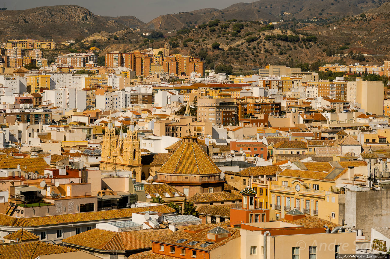 AC Hotel Málaga Palacio Малага, Испания