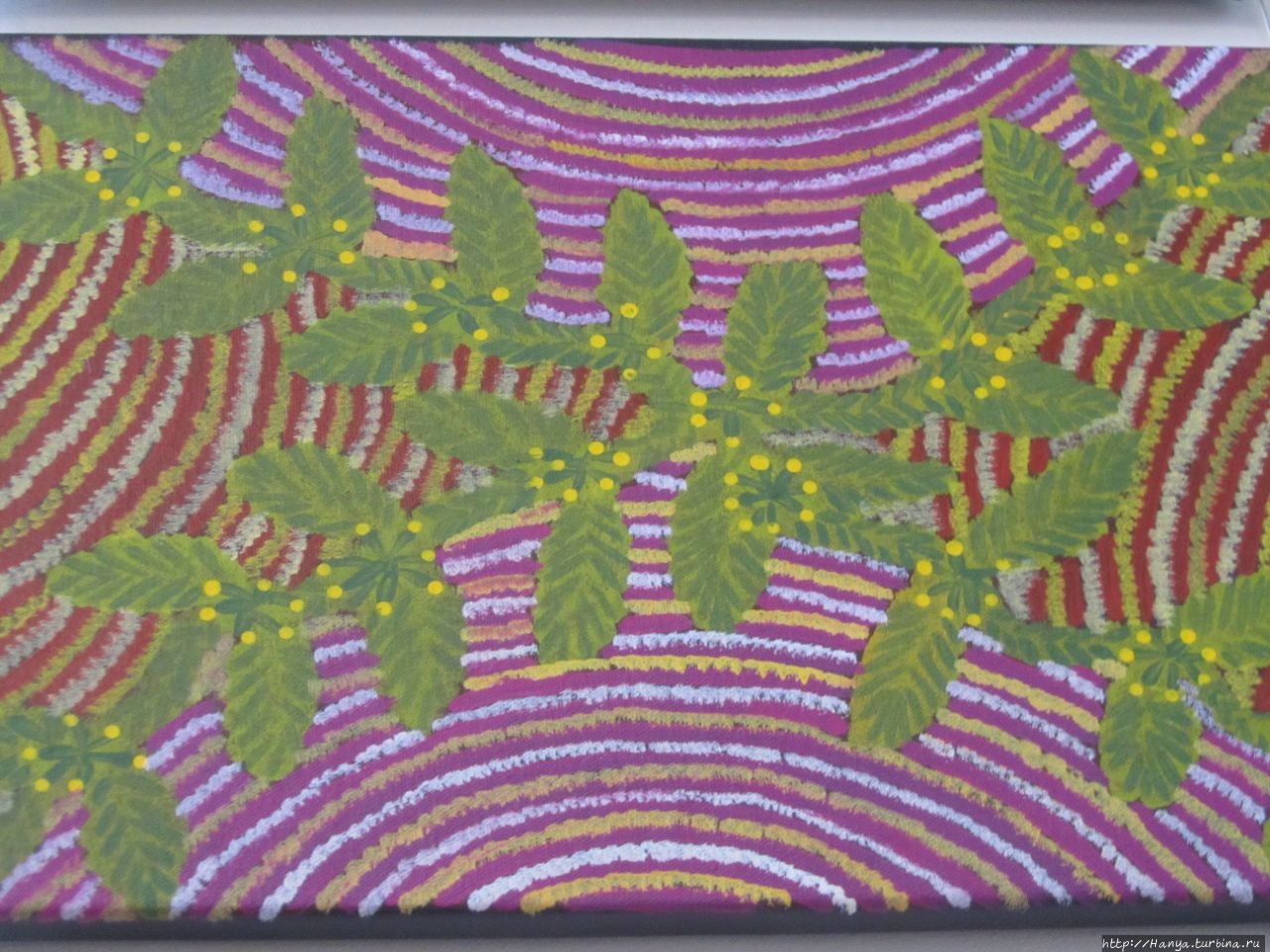 Художественная галерея Мбантуа Элис-Спрингс, Австралия