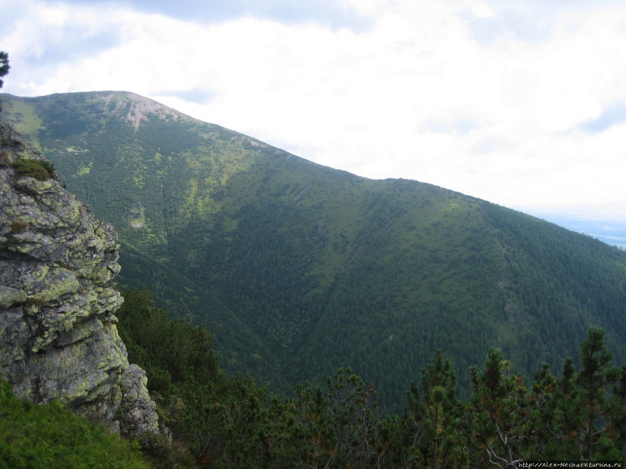 Справа по ходу движения Т Справа по ходу движения Т