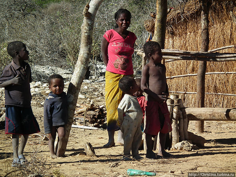О племена, о нравы! Фамадихана Мадагаскар