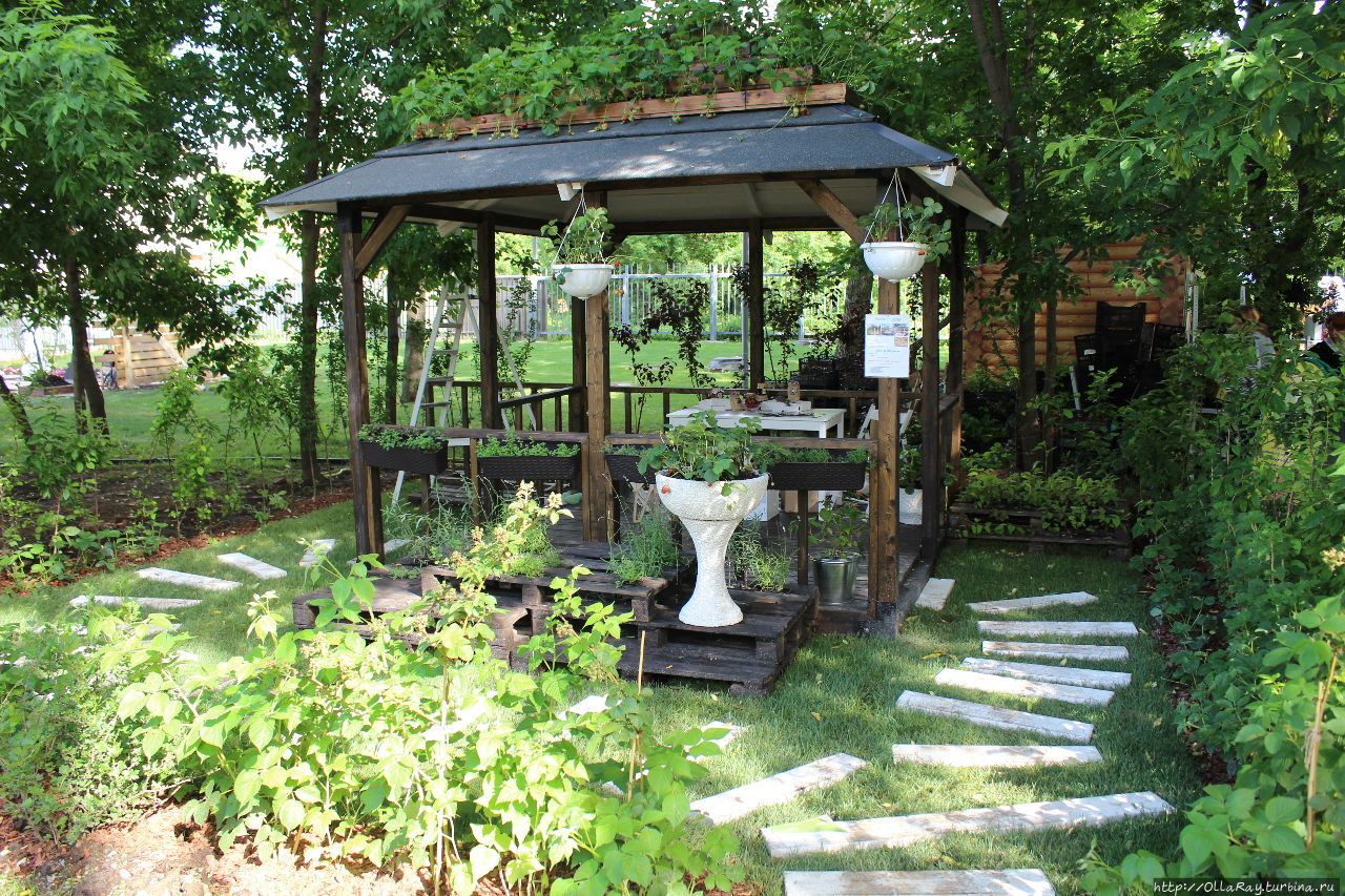 Moscow Flower Show 2017. Фотоотчёт и впечатления. Москва, Россия