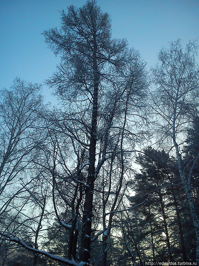 С наступившим вас 2013 !!!