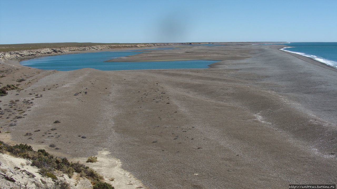 Дикая природа полуострова Вальдес Пуэрто-Мадрин, Аргентина