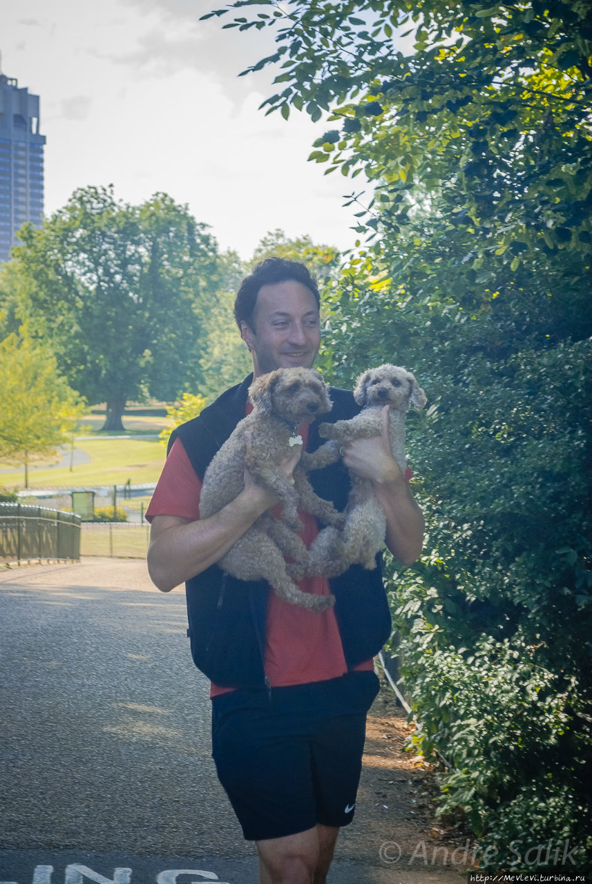 Цветущий утренний Лондон Лондон, Великобритания