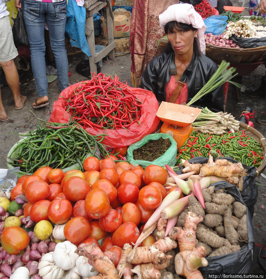 Овощи и специи. Индонезия