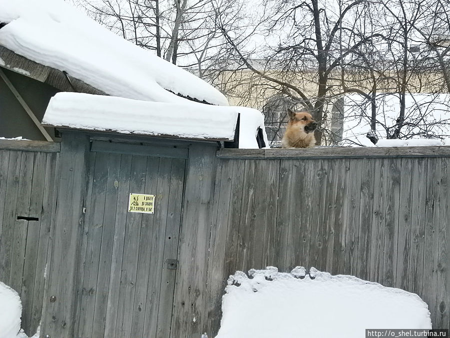 Прогулка по городу Ковров, Россия