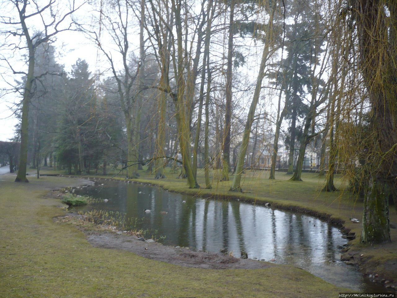 Оливский парк Гданьск, Польша