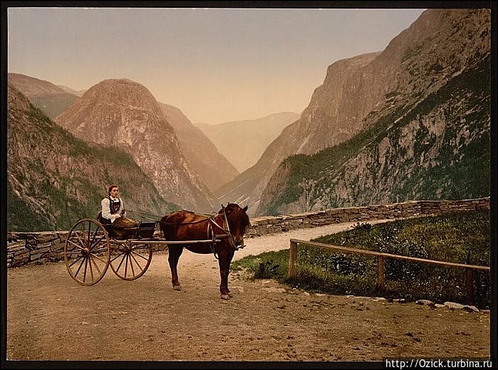 фото интернета