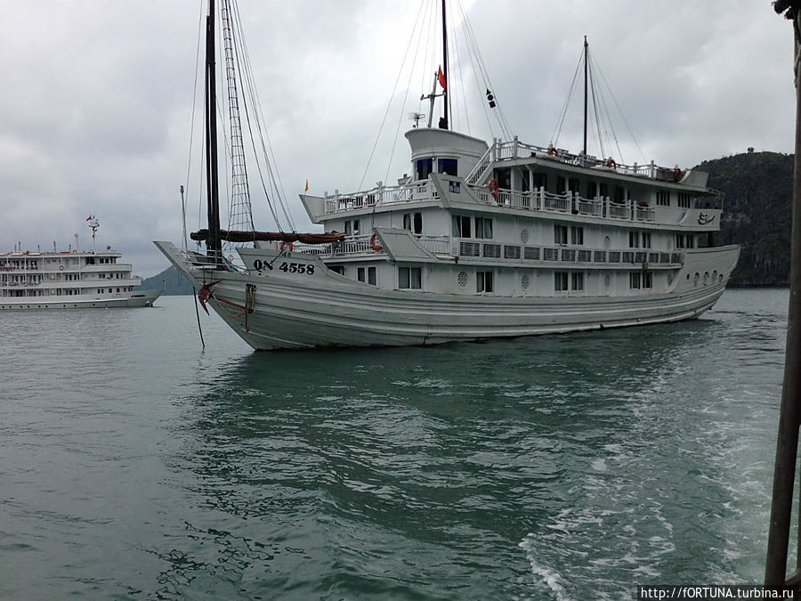 Ботель Байя Круиз / Boat Hotel Bhaya Cruises