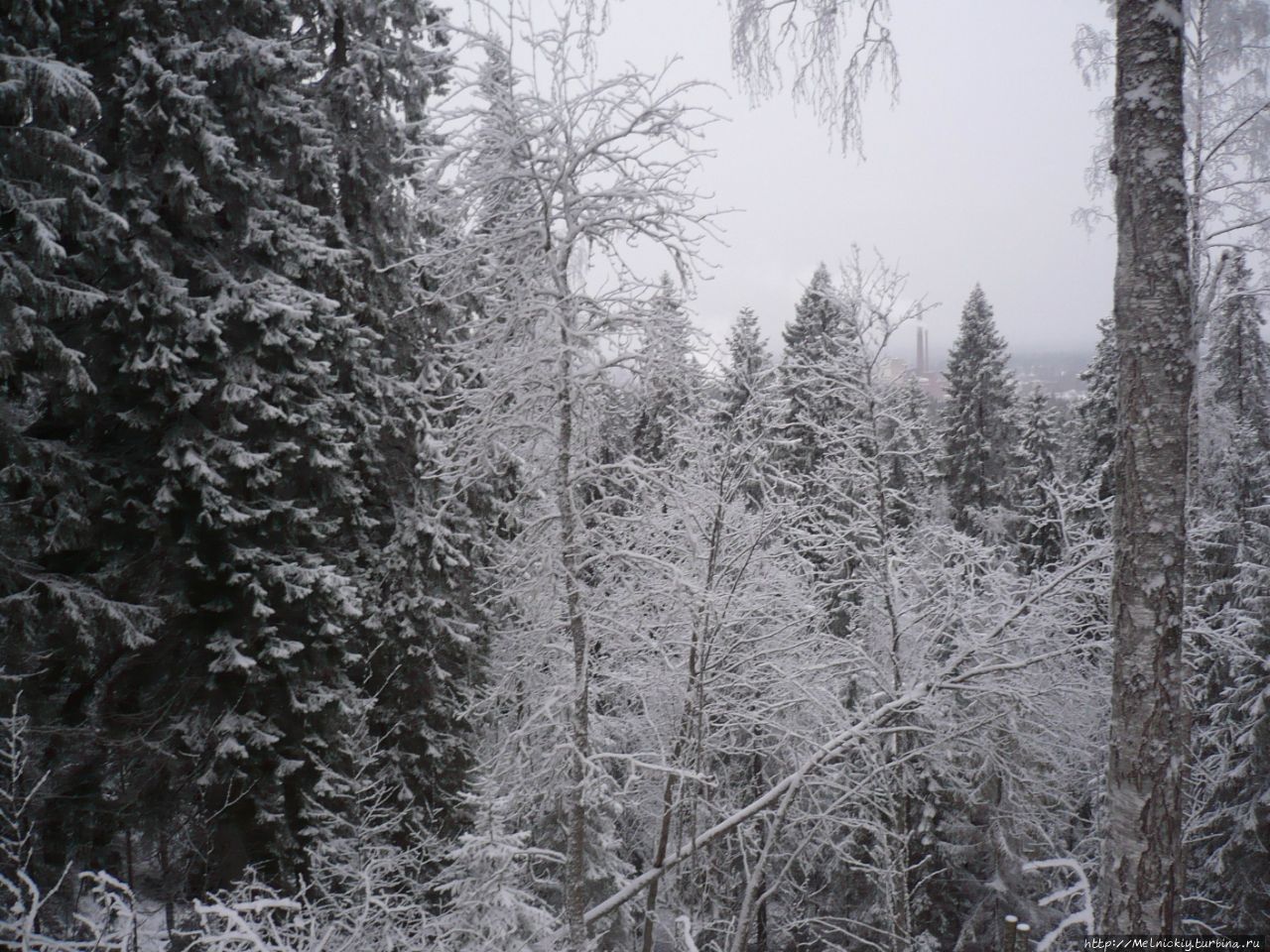 Провинциальный городок, затерянный в дремучих лесах Мянття, Финляндия