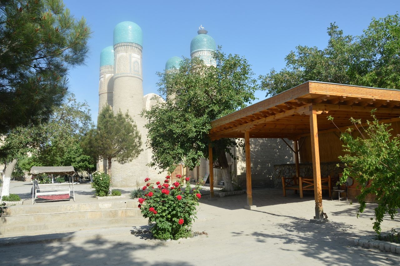 Бухара, Buxoro и поспевшая шелковица Бухара, Узбекистан