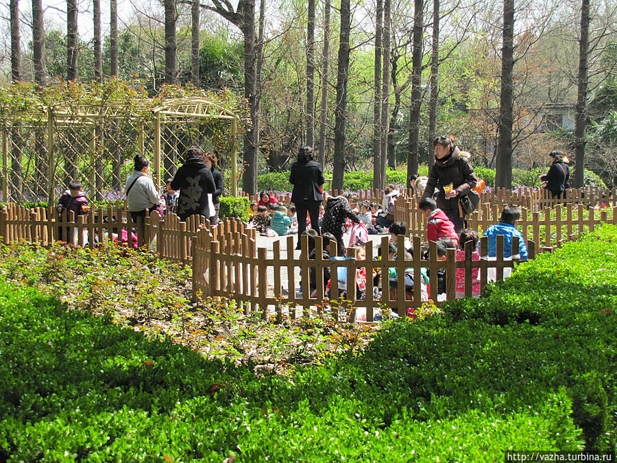 Зоопарк Шанхая. Продолжение. Шанхай, Китай