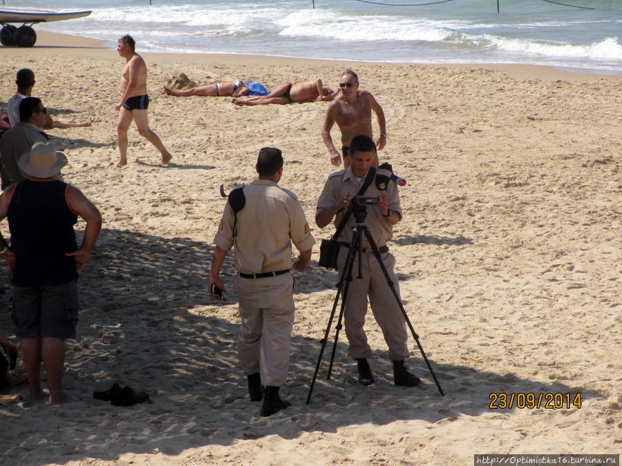 К нам приплыл 