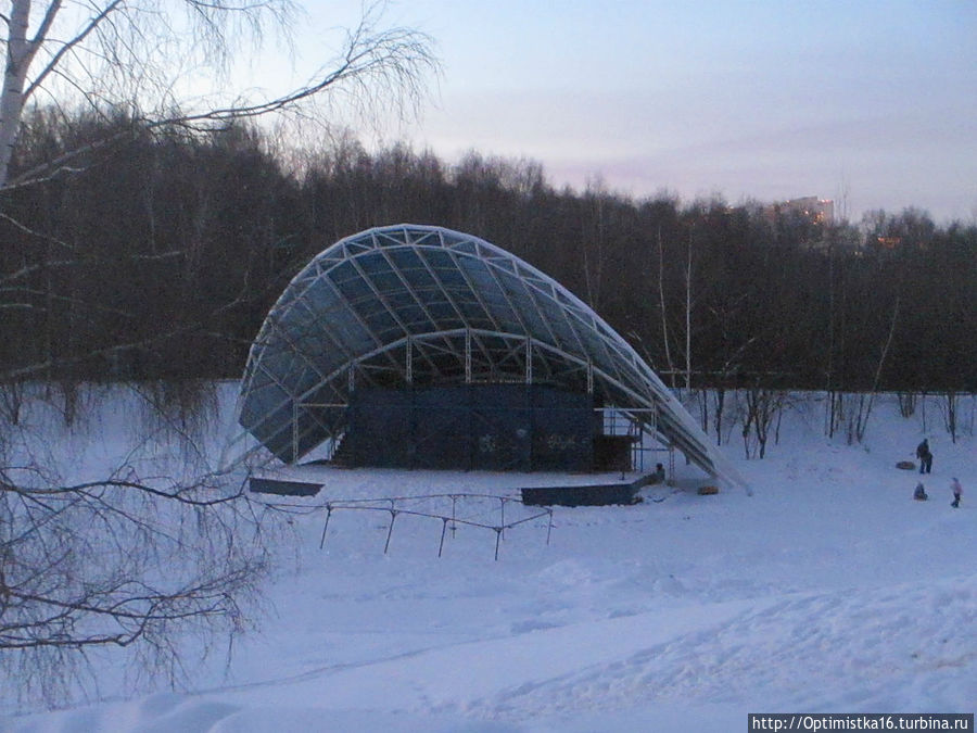 Прогулки в лесу Тёплого Стана Москва, Россия