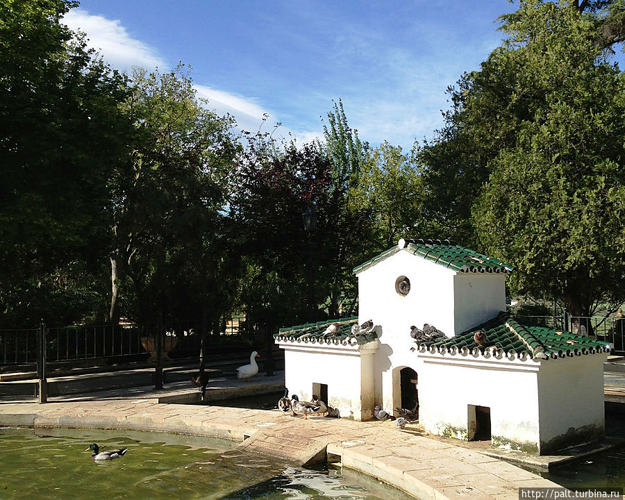 Пруд в парке Аламеда дель Тахо.