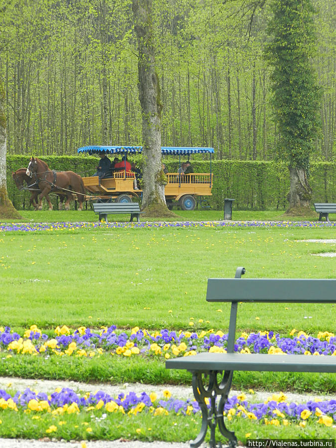 от пристани до дворца можно идти пешком через живописный парк-лес или ехать на лошадке