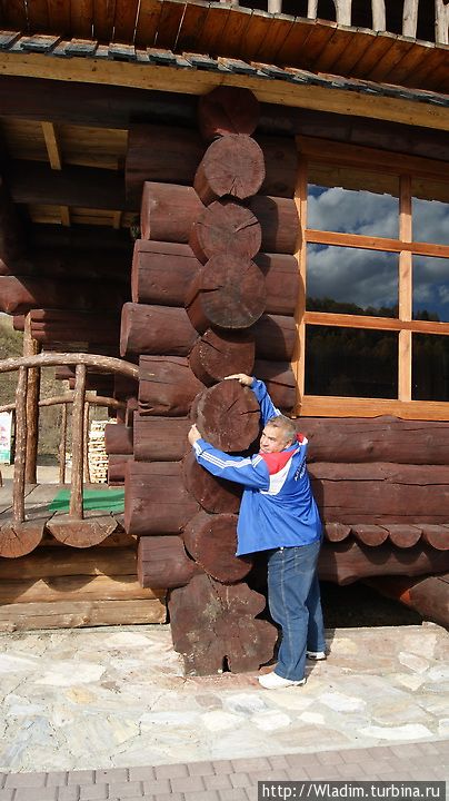 Вот из таких кедровых бревен, как в старину наши деды строили... Алтайское, Россия