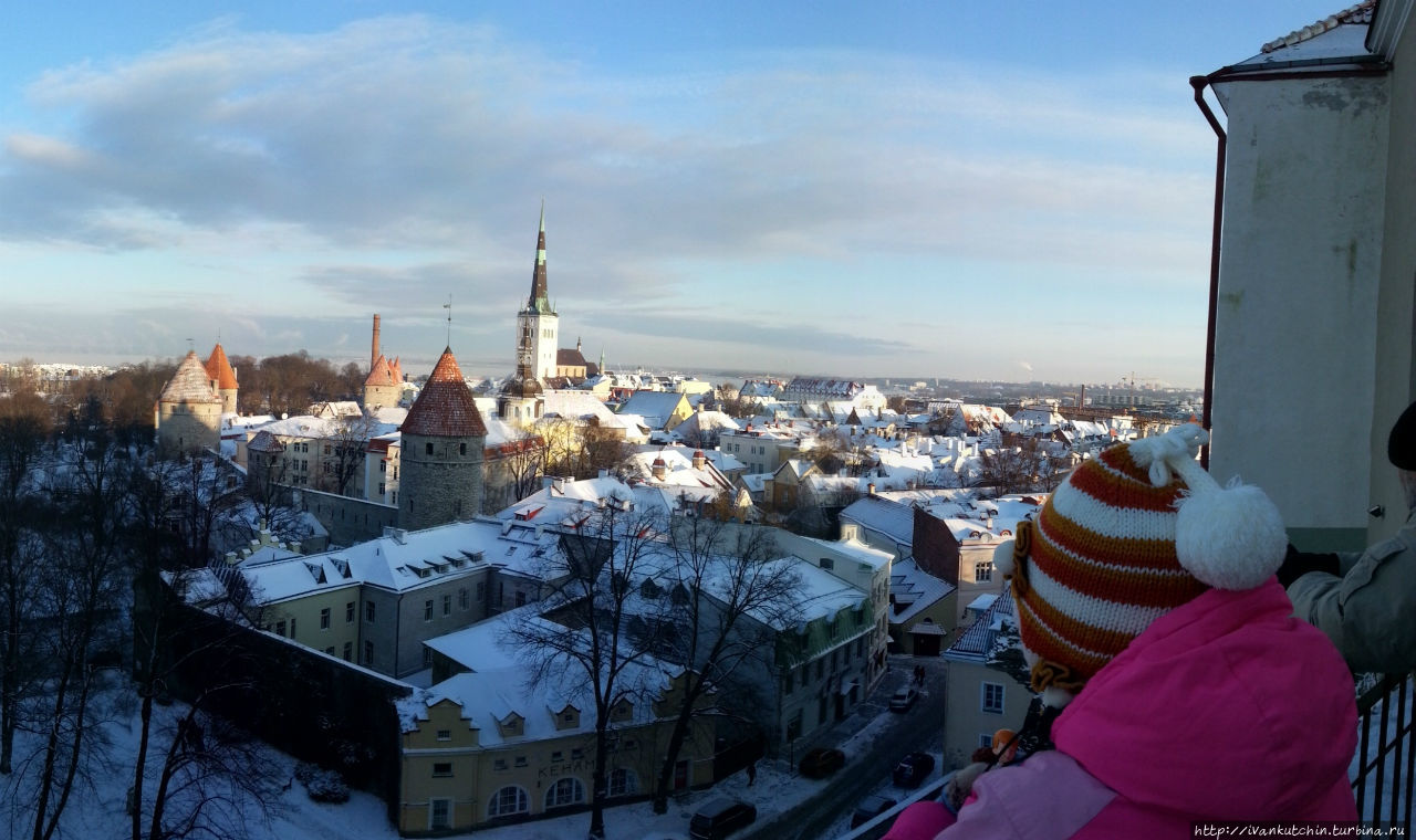 Рождественские селфи в Таллине Таллин, Эстония