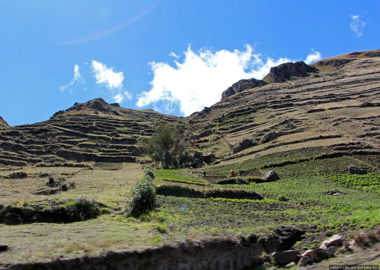 Эквадорский Мачу-Пикчу, или мое больное воображение Провинция Котопакси, Эквадор
