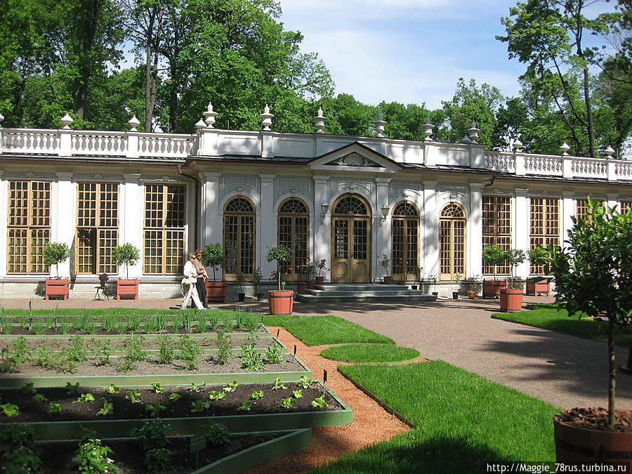В 18 столетии на территории парка было несколько деревянных оранжерей для сохранения посадок. Впервые они появились на генеральном плане Растрелли 1730-1740 г.
Архитектор Малой Оранжереи неизвестен. Фасад реконструированного здания выполнен в соответствии с проектом Ивана Бланка 1738 г.