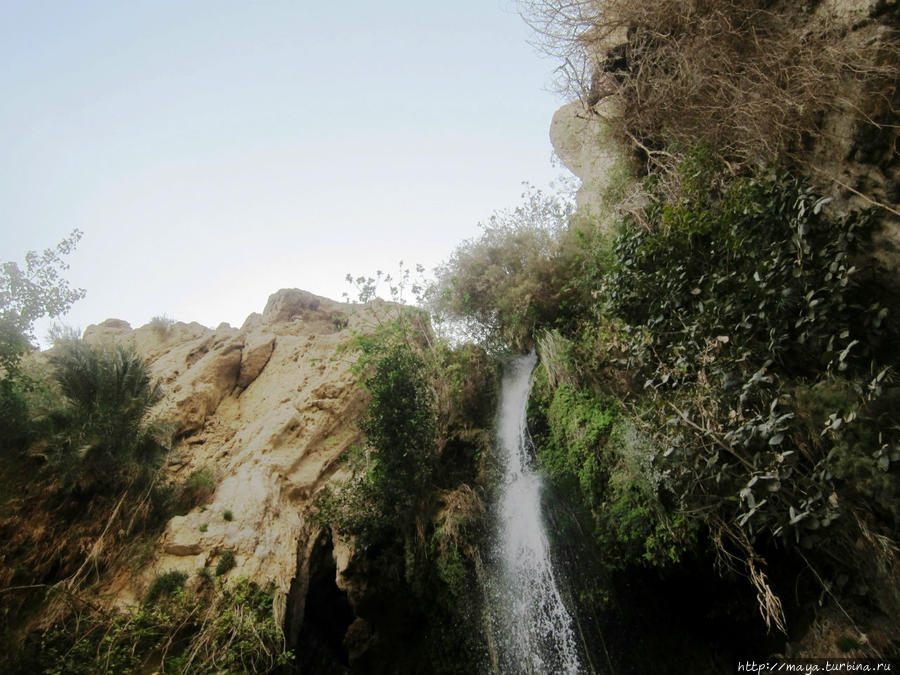 Вот поэтому ручей и водопад назвали его именем Мертвое море, Израиль