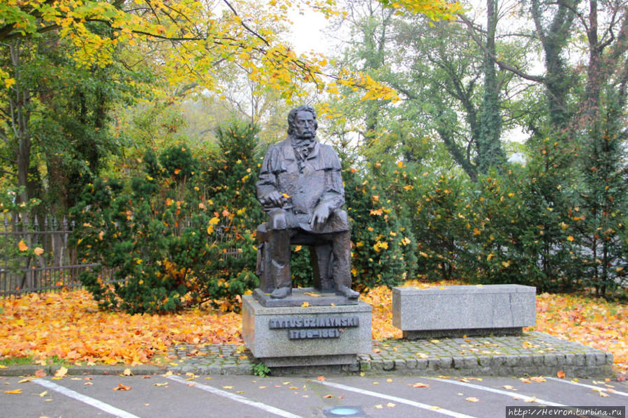 Курницкий замок Курник, Польша