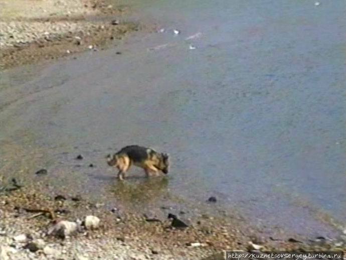 Окончание Зигера в Дюссельдорфе и возвращение домой Дюссельдорф, Германия