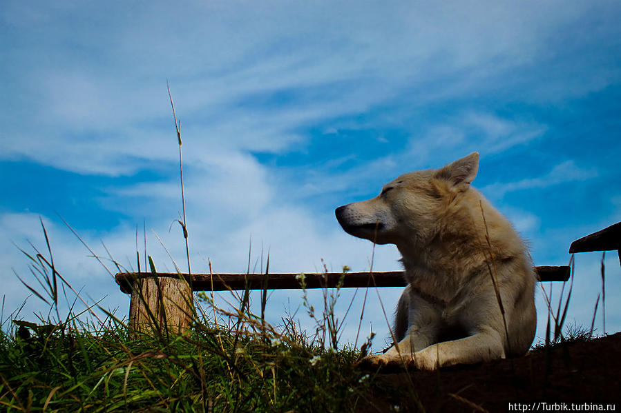Морской Глаз Морской Глаз (озеро), Россия