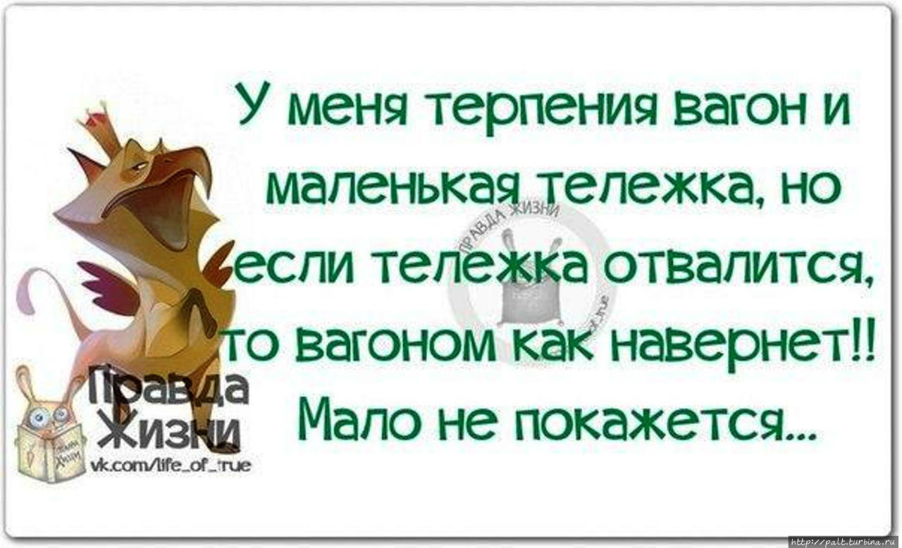 Терпение хватило. Терпение смешные картинки. Терпение цитаты смешные. Смешные фразы про терпение. Веселые цитаты про терпение.