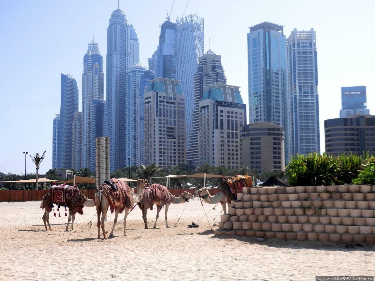 Секреты  Арабских Эмиратов Дубай, ОАЭ