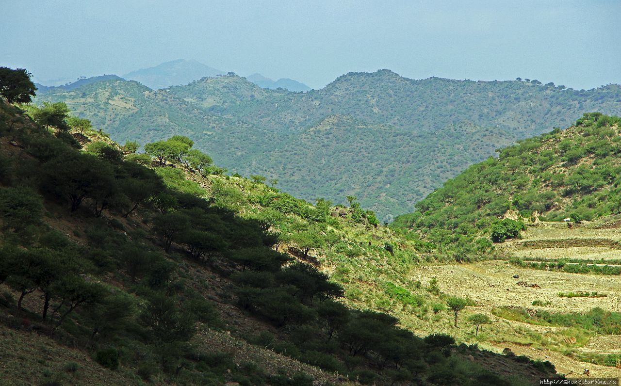 Эфиопия, Amhara Region. Амхара в Абхазии фото.