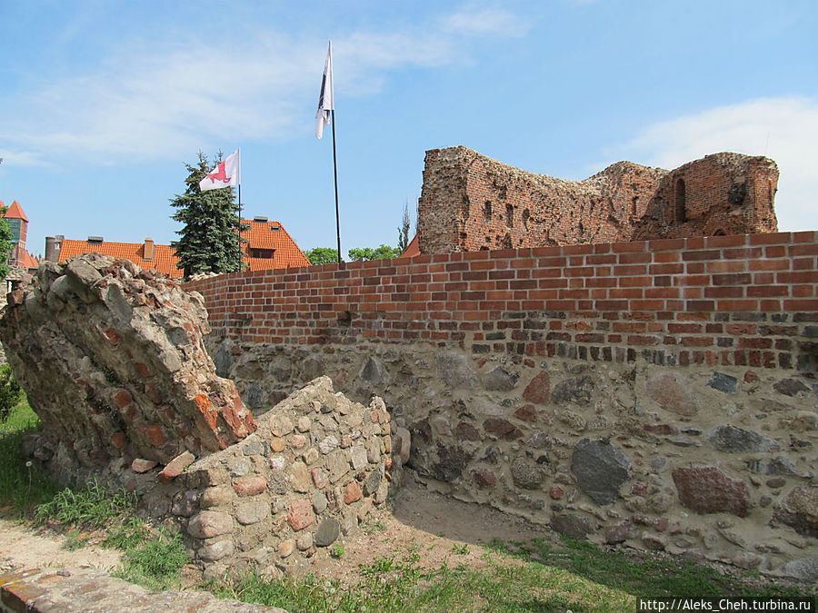 6 февраля 1454 года началось восстание горожан Торуни против деспотии Тевтонского Ордена. Это восстание было инспирировано главными врагами Ордена: с одной стороны польским правительством, с другой, представителями прусской Союза. Замок был захвачен и частично разрушен, и несколько веков развалины простояли не восстановленными, превращаясь постепенно в заросшую кустарником помойку.