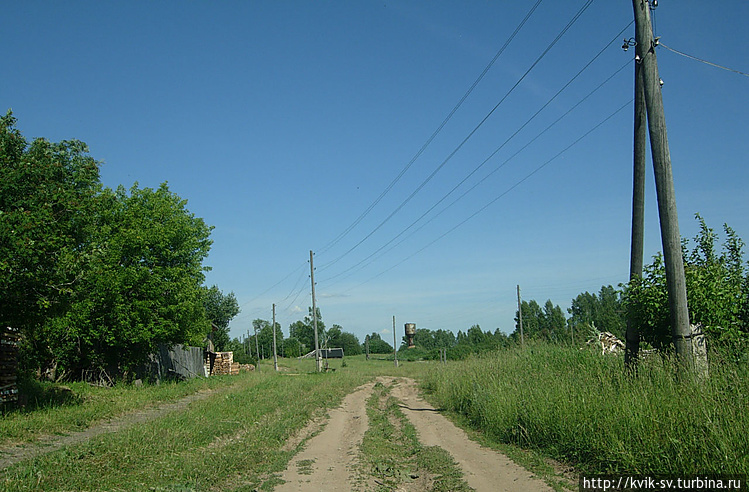 И вновь улица, заросшая н