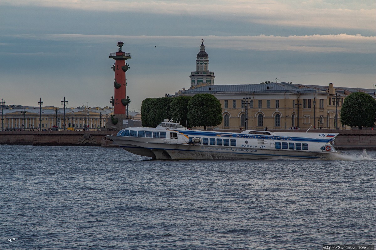 Санкт-Петербург 2019-06-13 Санкт-Петербург, Россия