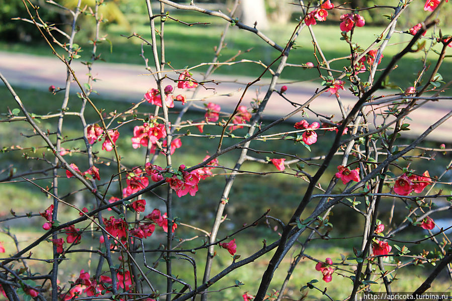 это больше похоже на весну)