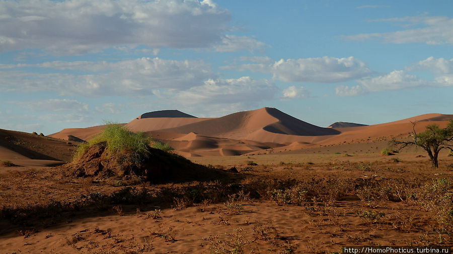 Мёртвая долина Парк Намиб-Науклуфт, Намибия