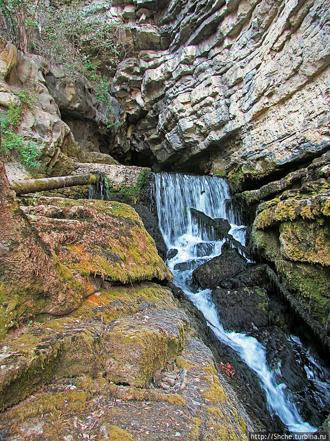 Пещера с источником  Житолюб (Жълти люб) Природный парк Врачанский Балкан, Болгария