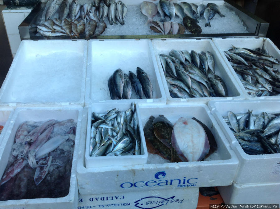 Рыба на продуктовом рынке в Порту. Порту, Португалия