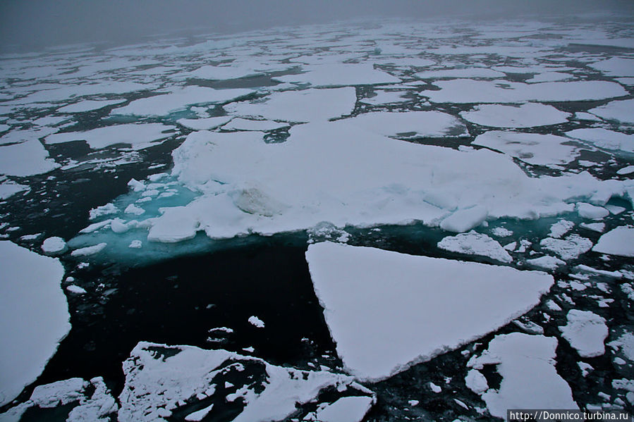 идеальный треугольник...