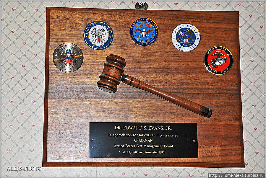 Какие-то армейские регалии...
*