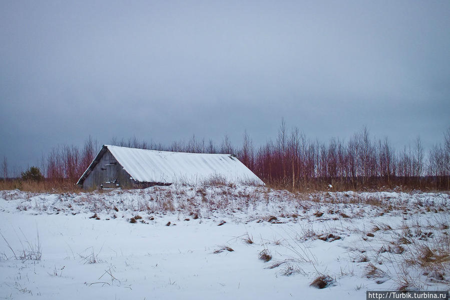 Круг по Русскому Северу: Карельское Медвежьегорск, Россия