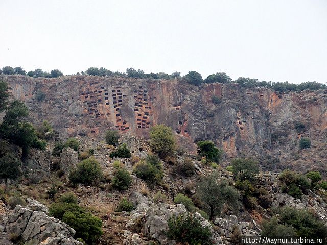 Снимок на прощание.